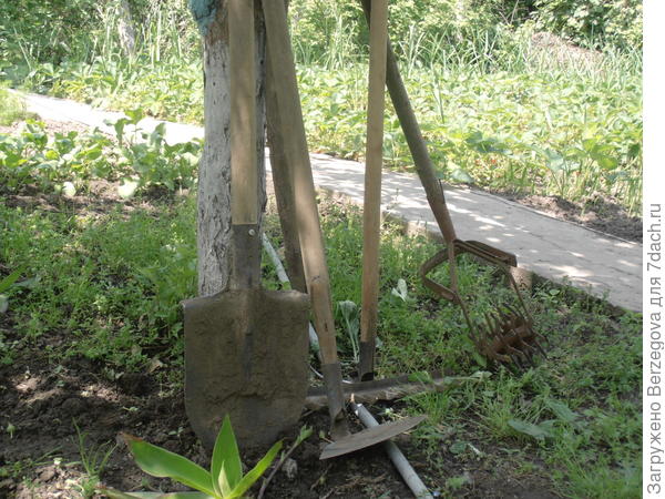 Дачные инструменты.