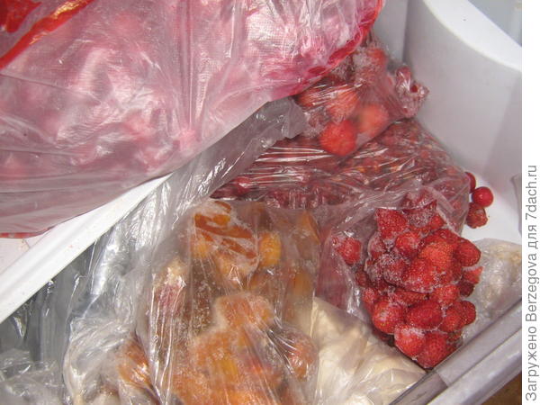 в морозилке