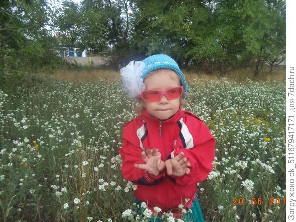 Варвара на лугу
