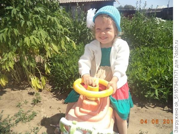 Варвара и трактор