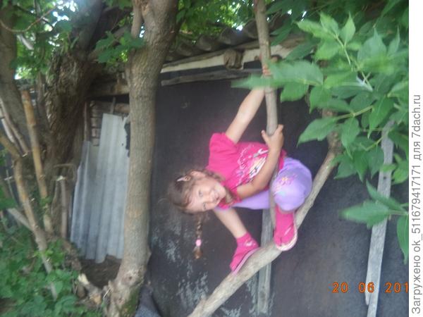 Вверх ногами