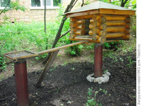 домик для белочки