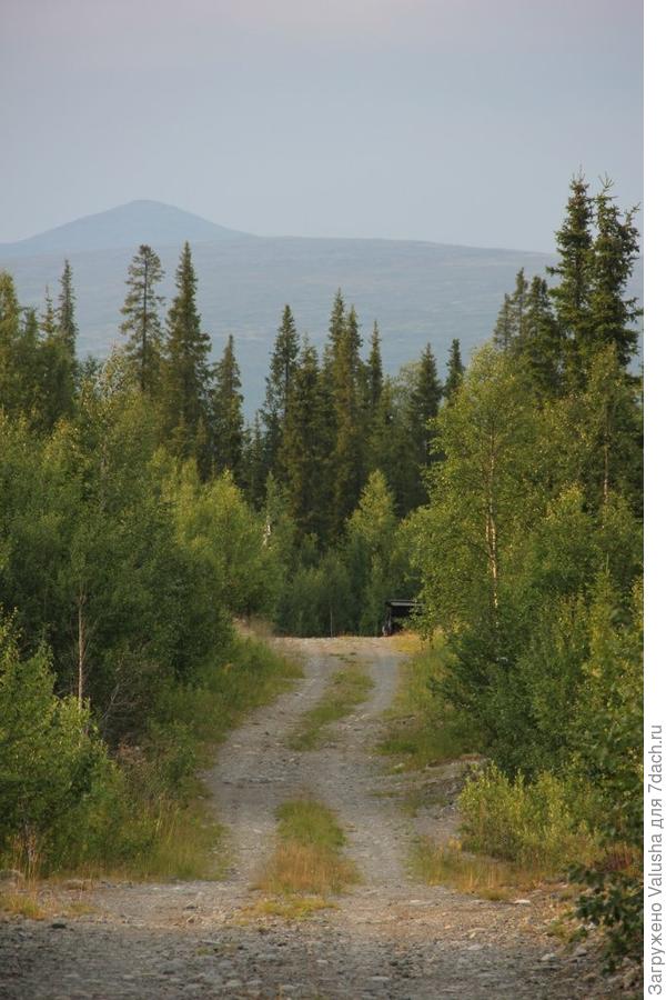 Мы любим шашлыки на даче)