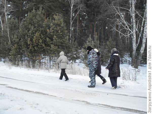 А мы и зимой на дачу ездим! Весело живём!
