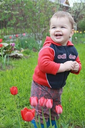 Помощники на даче