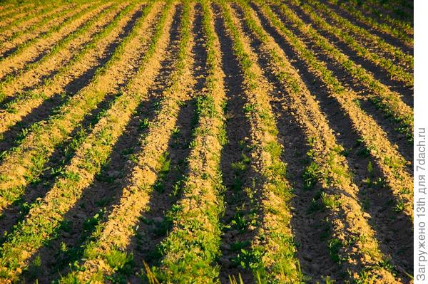 От РАССВЕТА - до ЗАКАТА