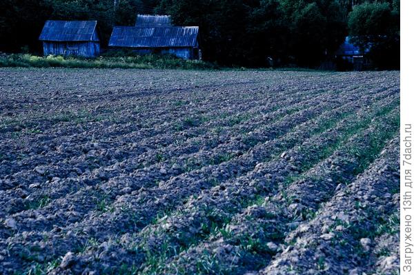 От РАССВЕТА - до ЗАКАТА