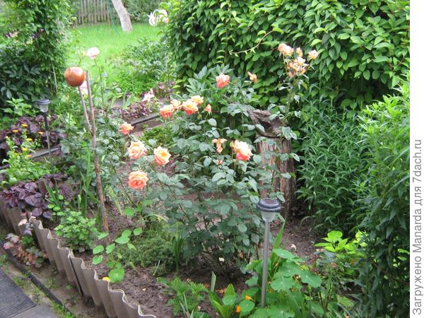 Моя любимая дача