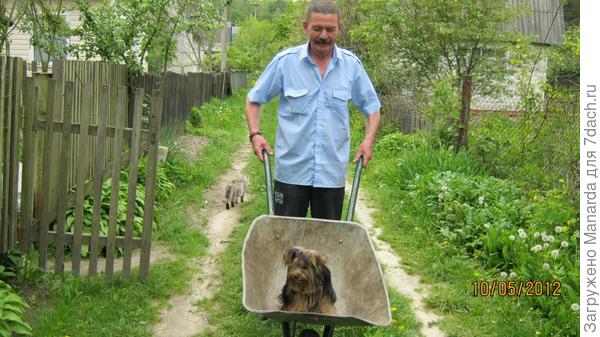 Моя любимая дача