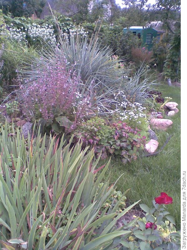 Моя любимая дача