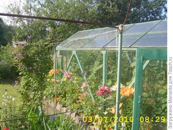 Моя любимая дача