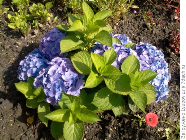 Строим домик для всей семьи!