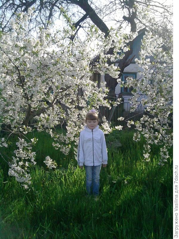 Дача - рай для души!