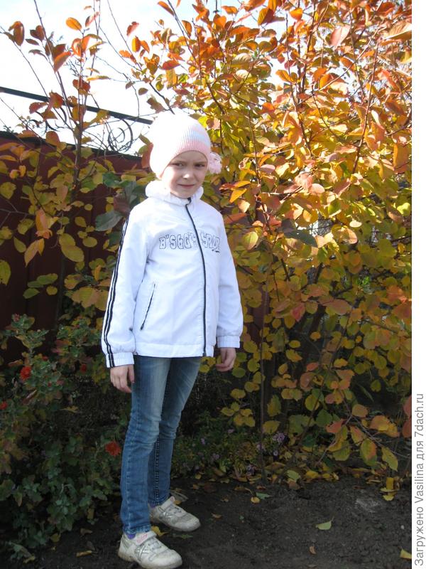 Дача - рай для души!