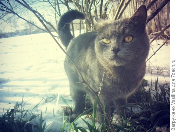 Дача - рай для души!