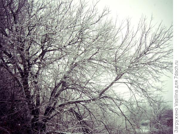 Дача - рай для души!