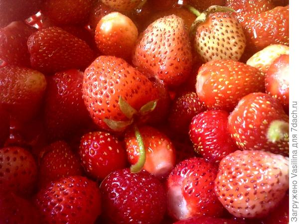 Дача - рай для души!