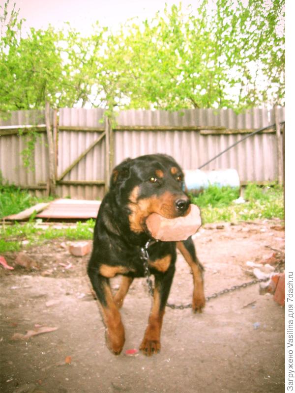 Дача - рай для души!