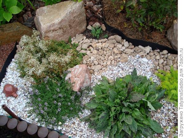 Говорят, мой дом - моя крепость, а вот мой сад - моя душа!