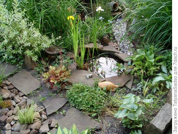 Говорят, мой дом - моя крепость, а вот мой сад - моя душа!