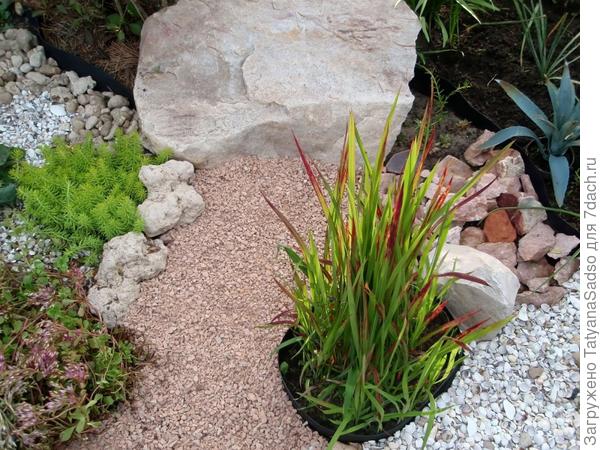 Говорят, мой дом - моя крепость, а вот мой сад - моя душа!