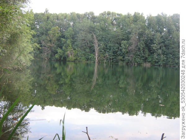 Начало осени.