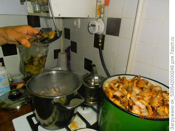 Закладываю в банку.