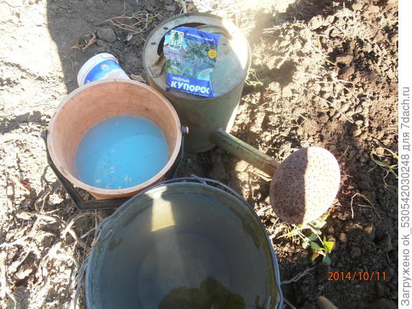 Раствор медного купороса.