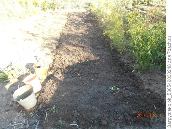 Грядка под чеснок.