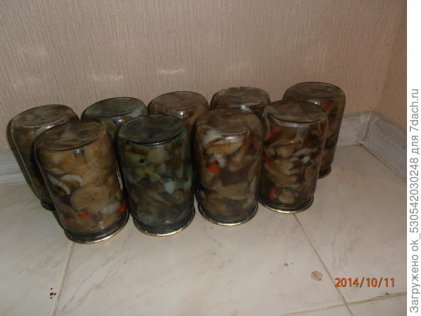 Готовенькие.