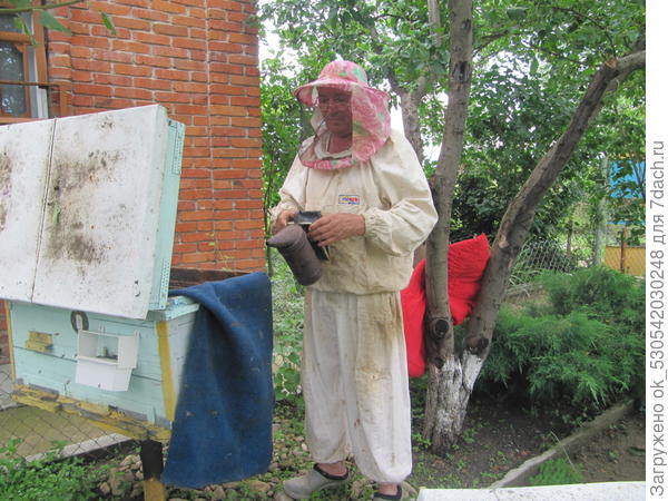 Дымарь в работе.