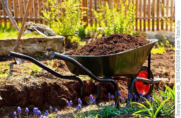 Садовая тачка