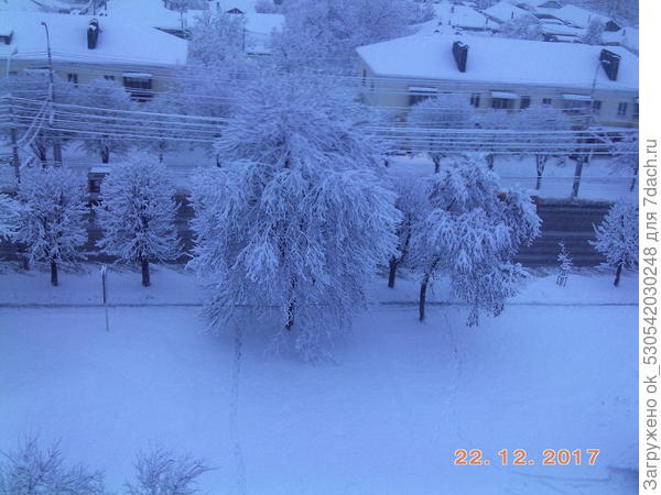 Предновогодний снег