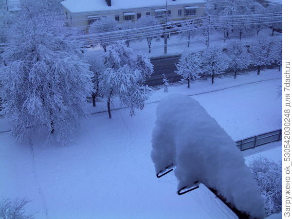 Предновогодний снег