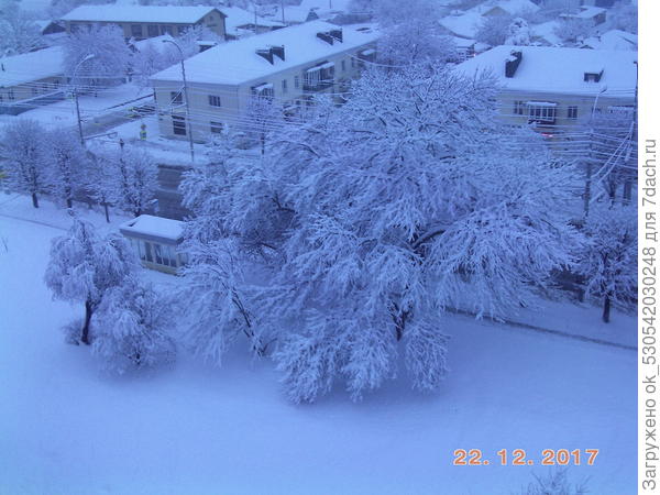 Предновогодний снег