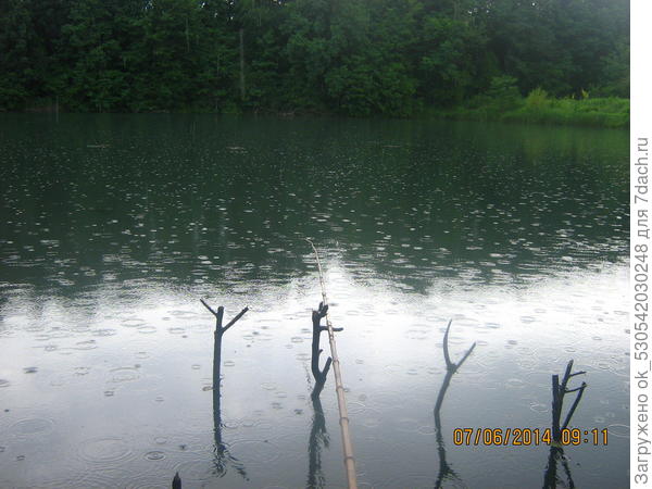 Дождь на пруду.