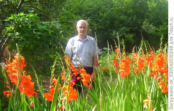 Я и гладиолусы