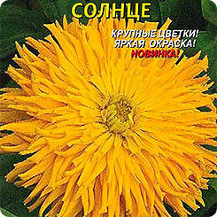 Цинния супер кактус Солнце,