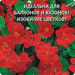 Настурция махровая Огненный шар