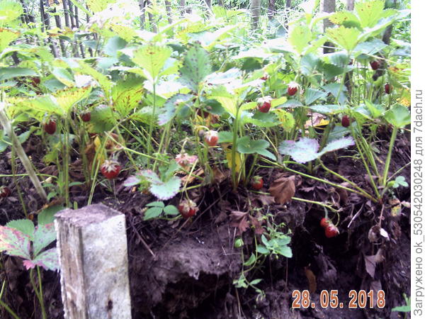 И здесь последяя