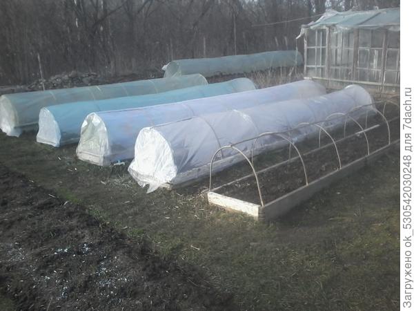 Грядки с клубникой