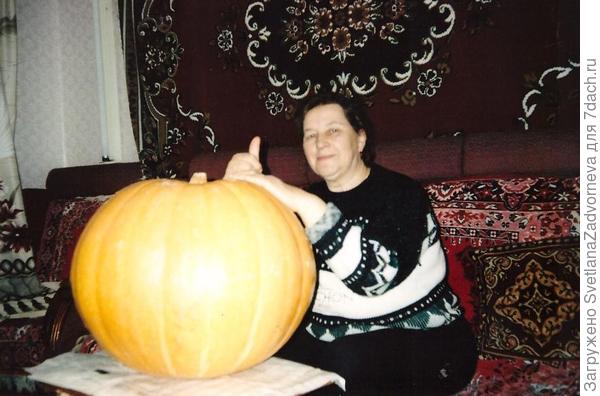 тыква