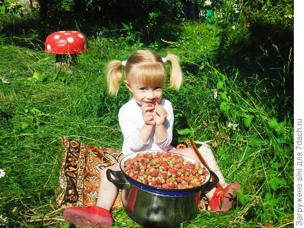 Мои принцессы на бобах!