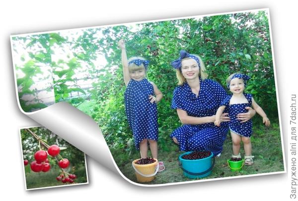 Наш щедрый урожай!