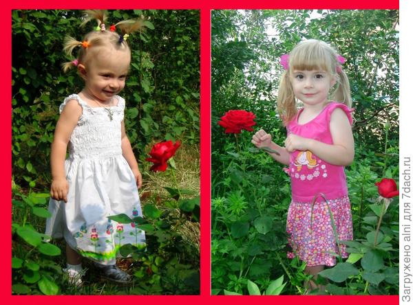 с розами