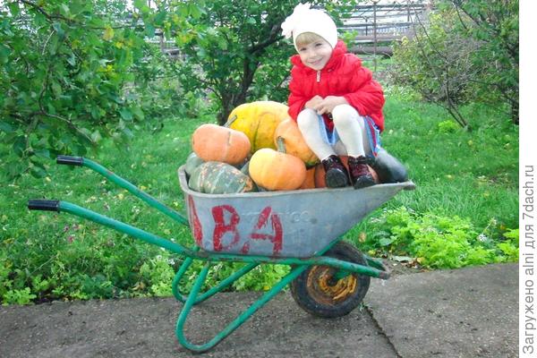 с тыквой