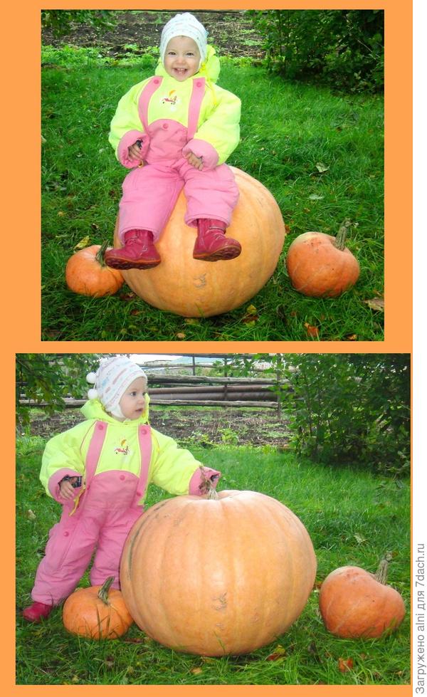 с тыквой