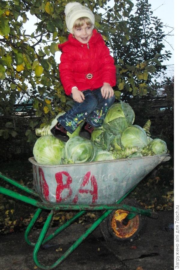 с капустой