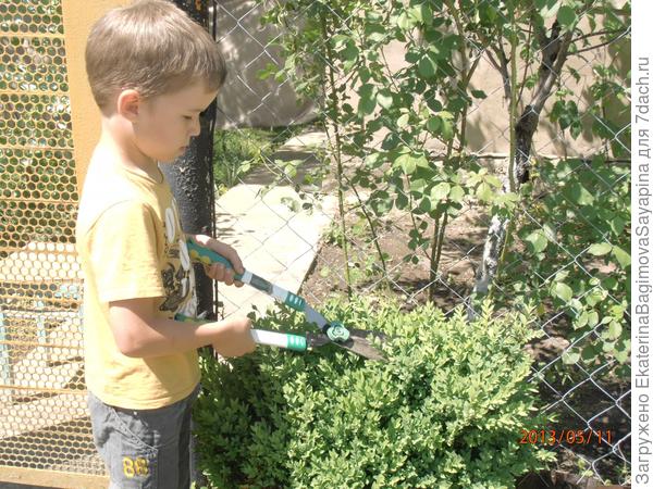 Внуку нравятся садовые ножницы!
