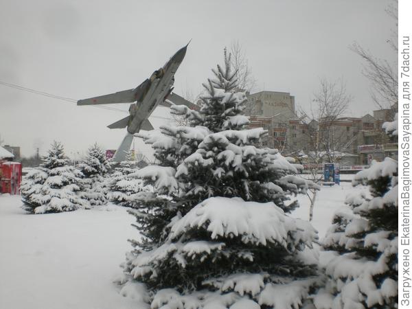 На Новый год в Майкопе.